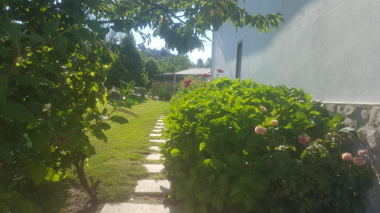 Quinta Do Serrado De Belmonte Belmonte  Eksteriør billede
