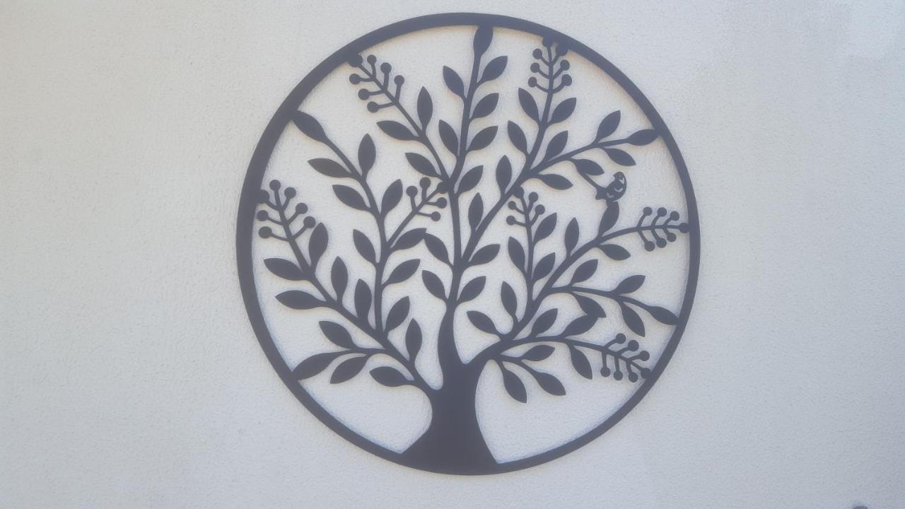 Quinta Do Serrado De Belmonte Belmonte  Eksteriør billede