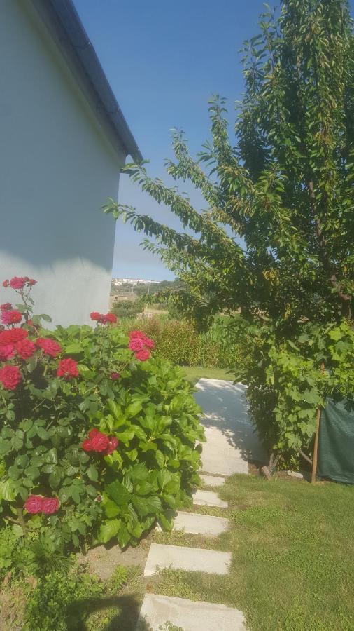 Quinta Do Serrado De Belmonte Belmonte  Eksteriør billede
