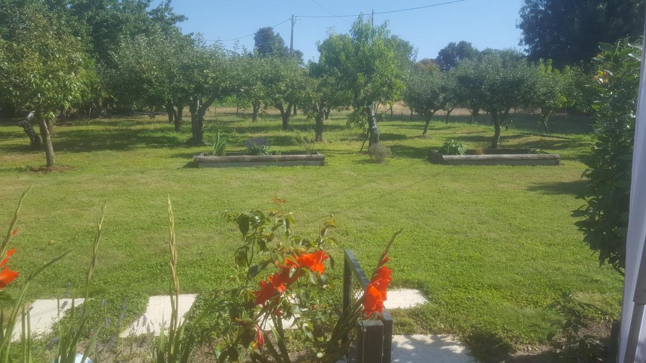 Quinta Do Serrado De Belmonte Belmonte  Eksteriør billede