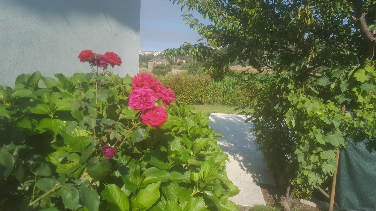 Quinta Do Serrado De Belmonte Belmonte  Eksteriør billede