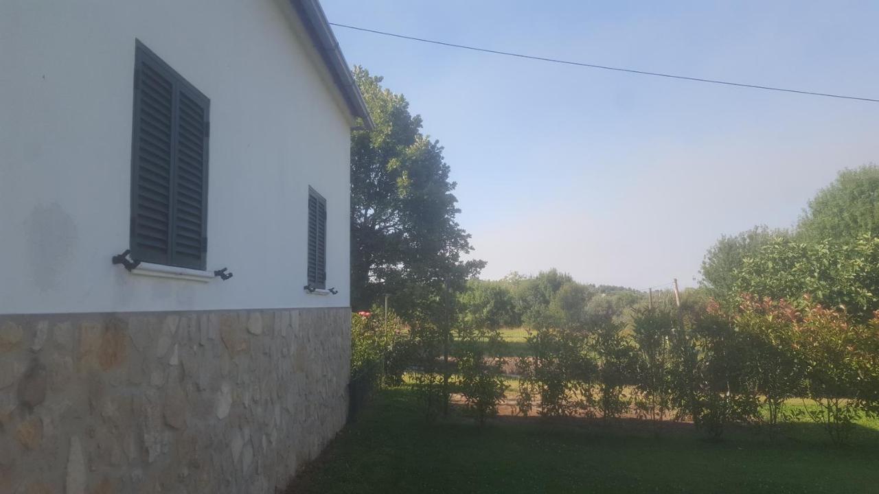 Quinta Do Serrado De Belmonte Belmonte  Eksteriør billede