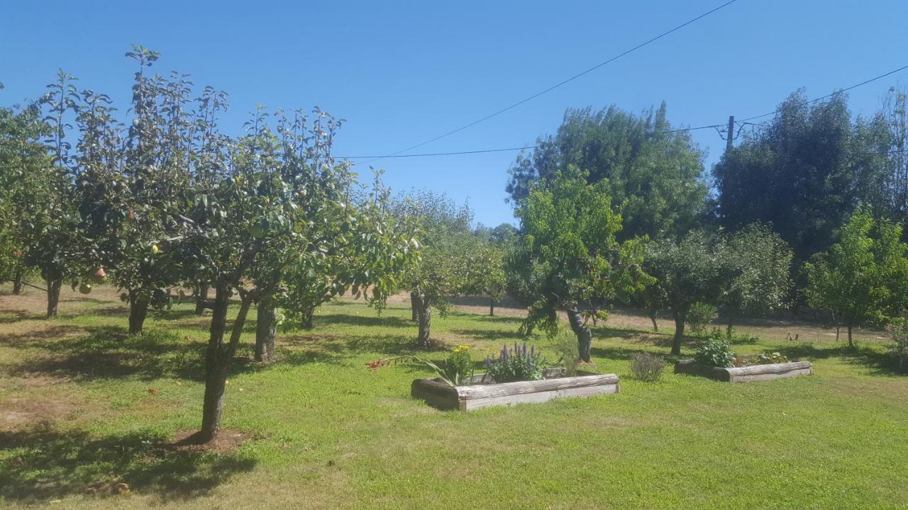 Quinta Do Serrado De Belmonte Belmonte  Eksteriør billede